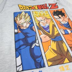 Pyjama Dragon ball