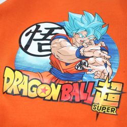 Jogging Dragon Ball Z