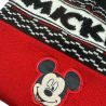 Bonnet Mickey