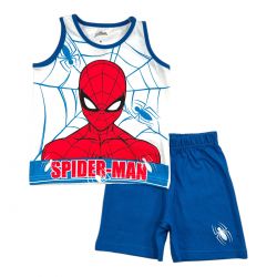 Ensemble Spiderman 