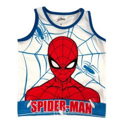 Ensemble Spiderman 