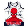 Ensemble Spiderman 