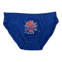 Boite de 3 culottes Spiderman