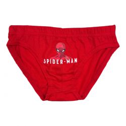 Boite de 3 culottes Spiderman