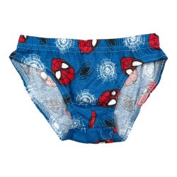 Boite de 3 culottes Spiderman