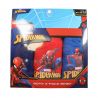 Lot de 3 slips spiderman