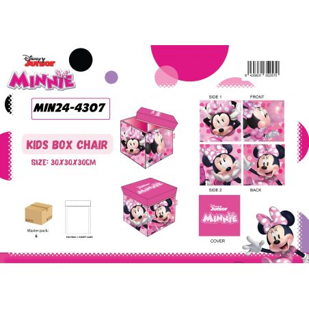 Boîte de rangement Minnie