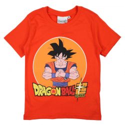 T-shirt dragon ball.