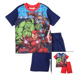 Ensemble Avengers