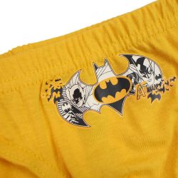 Lot de 3 slips Batman