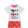 Ensemble Mickey