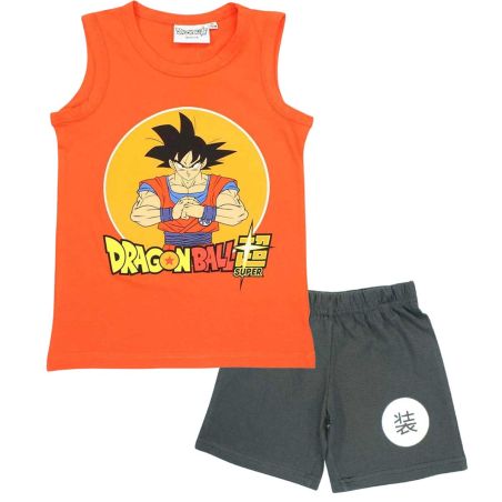 Ensemble DragonBall Z