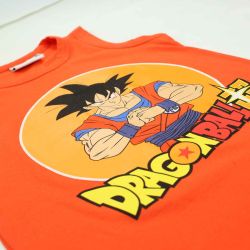 Ensemble DragonBall Z