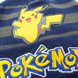 Bonnet gant Pokemon