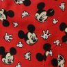 Ensemble bebe Mickey