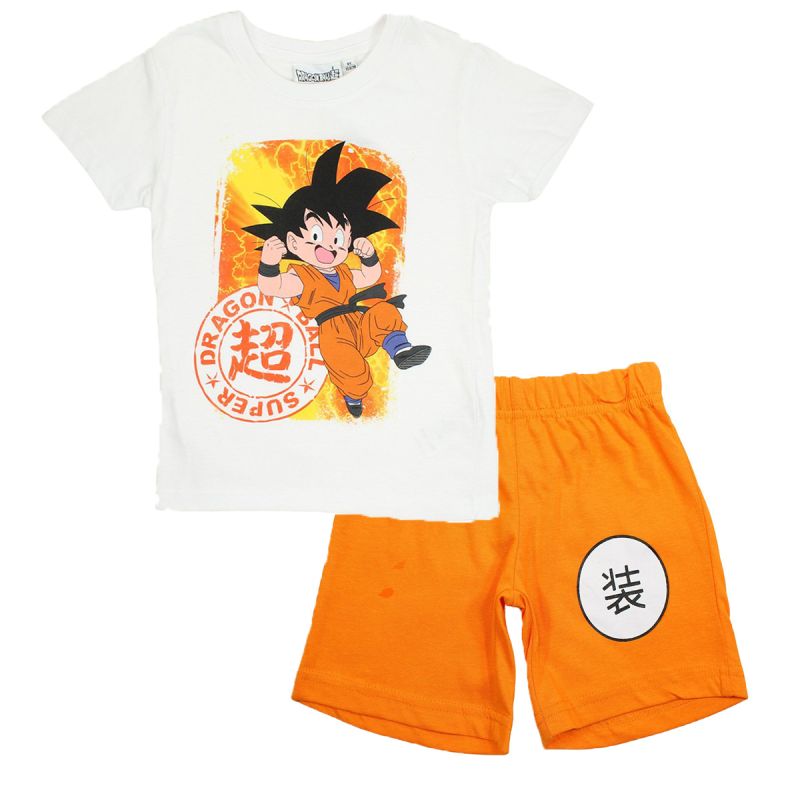 Ensemble DragonBall Z