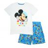 Ensemble sur cintre Mickey