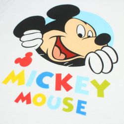 Ensemble sur cintre Mickey