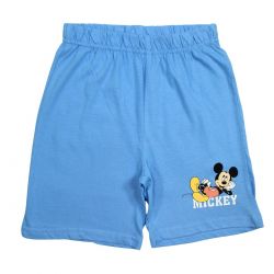 Ensemble sur cintre Mickey