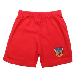 Ensemble Paw Patrol