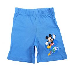 Ensemble sur cintre mickey.