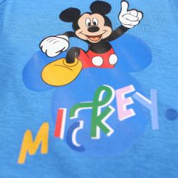 Ensemble sur cintre mickey.