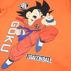 Ensemble Dragon ball