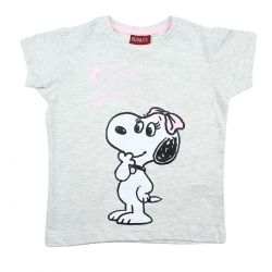 Ensemble snoopy