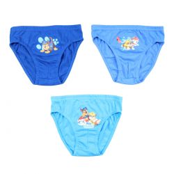 Lot de 3 slips paw patrol.