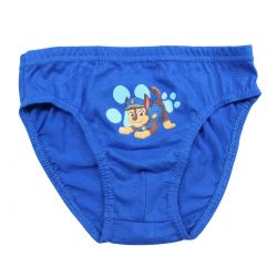 Lot de 3 slips paw patrol.