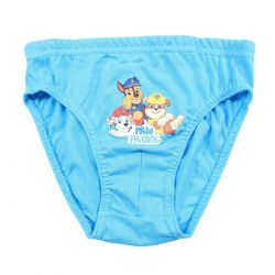 Lot de 3 slips paw patrol.