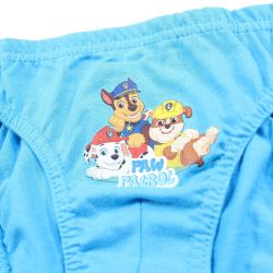 Lot de 3 slips paw patrol.