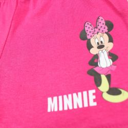 Ensemble Minnie