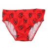 Pack de 5 culottes Spiderman